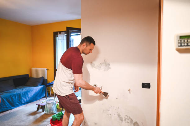 Best Residential Mold Removal  in Bridgeport, WV