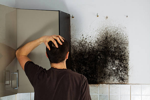 Water Damage Restoration in Bridgeport, WV